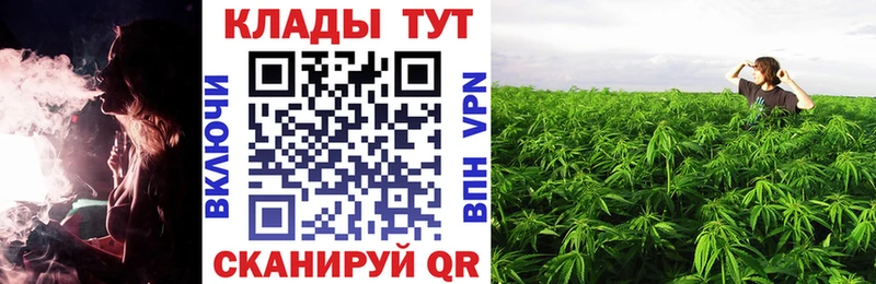 Хочу наркоту Данилов Alpha PVP  Мефедрон  кракен онион  ГАШ 