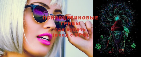 mdpv Горно-Алтайск