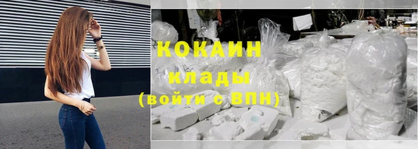 индика Гусиноозёрск