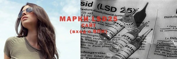 мяу мяу кристалл Гусь-Хрустальный