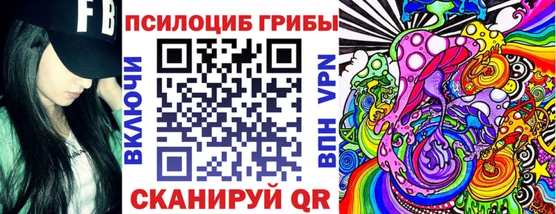 дарнет шоп  Данилов  Галлюциногенные грибы Cubensis 